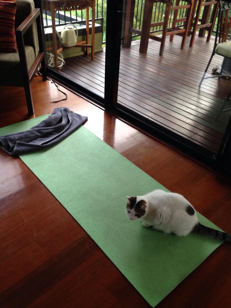 yoga mat at home