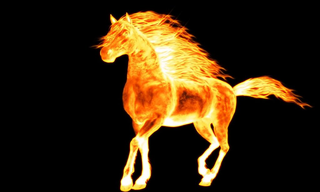 horse on fire